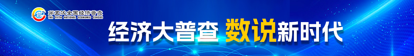 第五次全國經濟普查